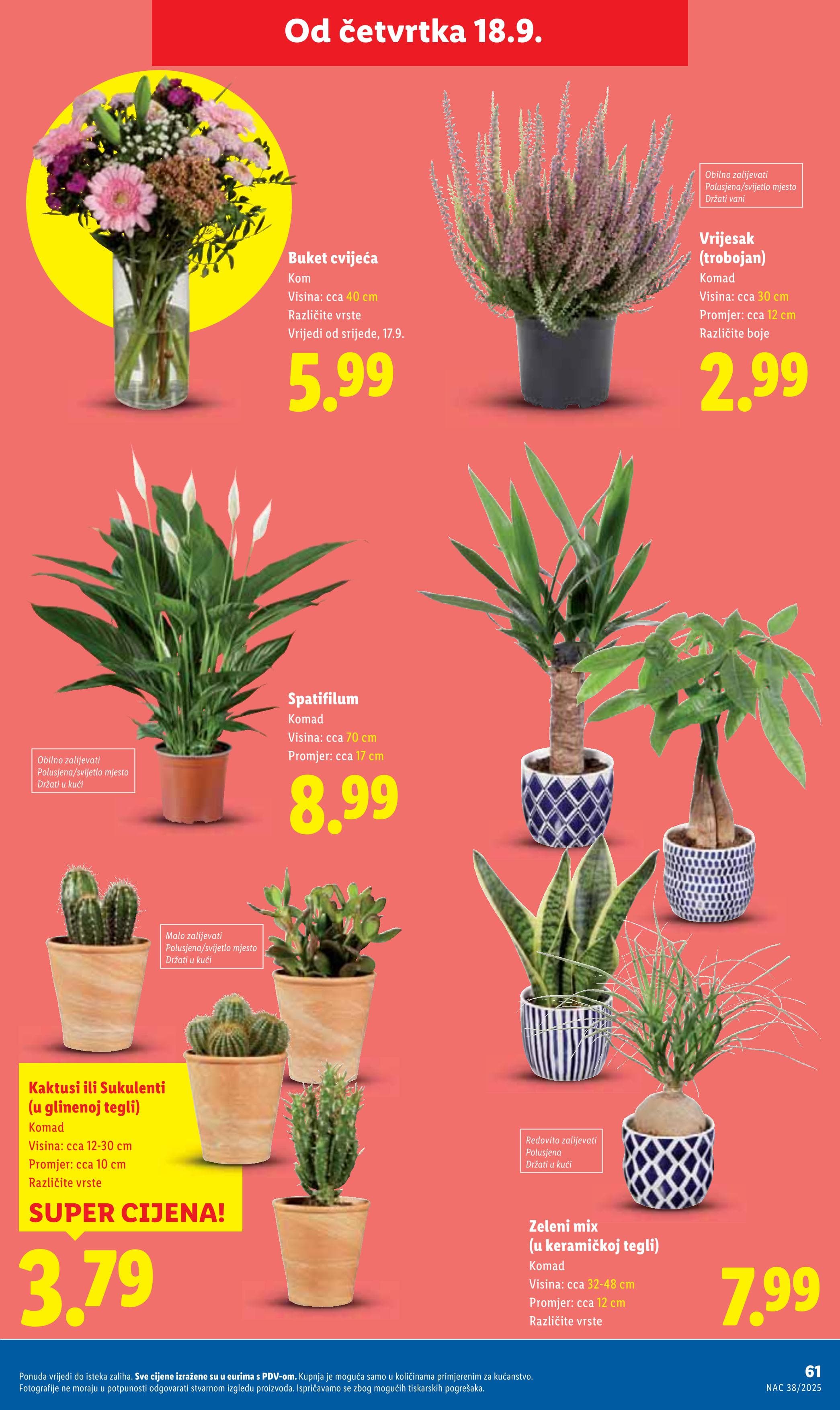 Stranica 61. Lidl kataloga - Akcije od 15.09. do 21.09.2025.