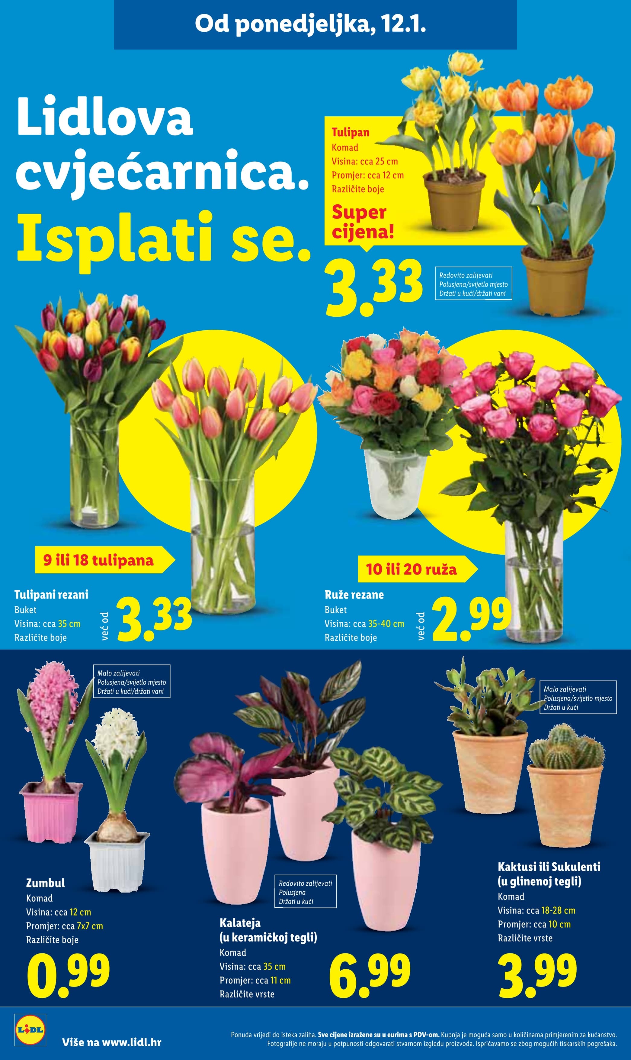 Stranica 52. Lidl kataloga - Isplati se