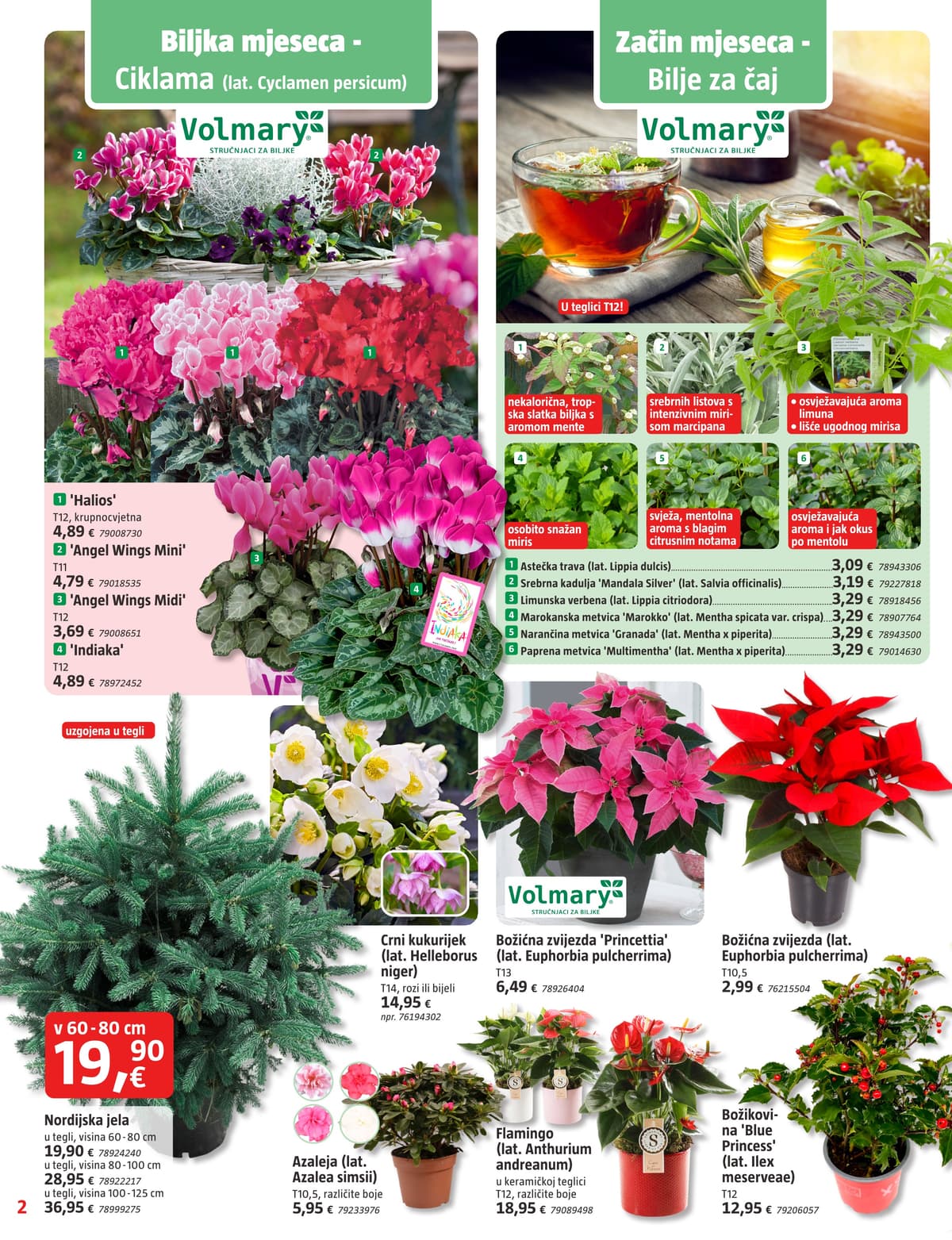 Stranica 2. Bauhaus kataloga - Studeni od 27.02.2026.