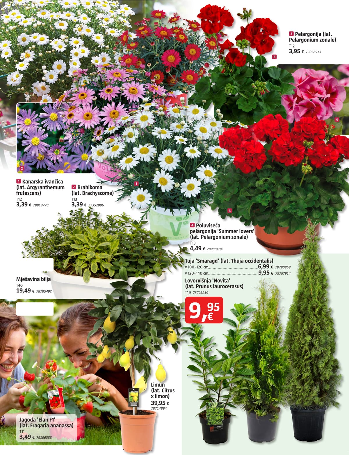 Stranica 8. Bauhaus kataloga - Ožujak 2026. od 20.03.2026.