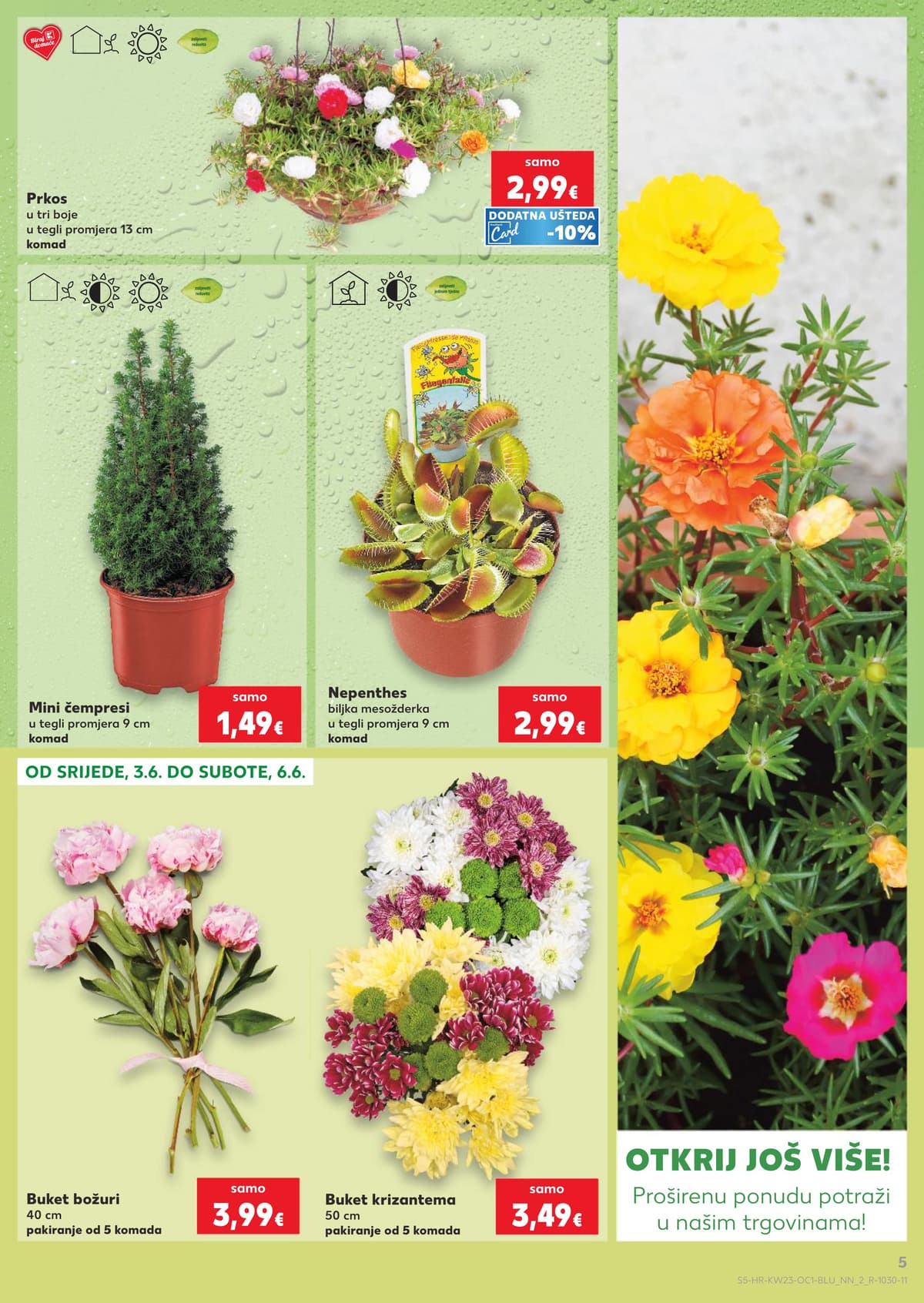 Stranica 5. Kaufland kataloga - Daise, Kućni Ljubimci i Orašasti Plodovi od 31.05.2026.