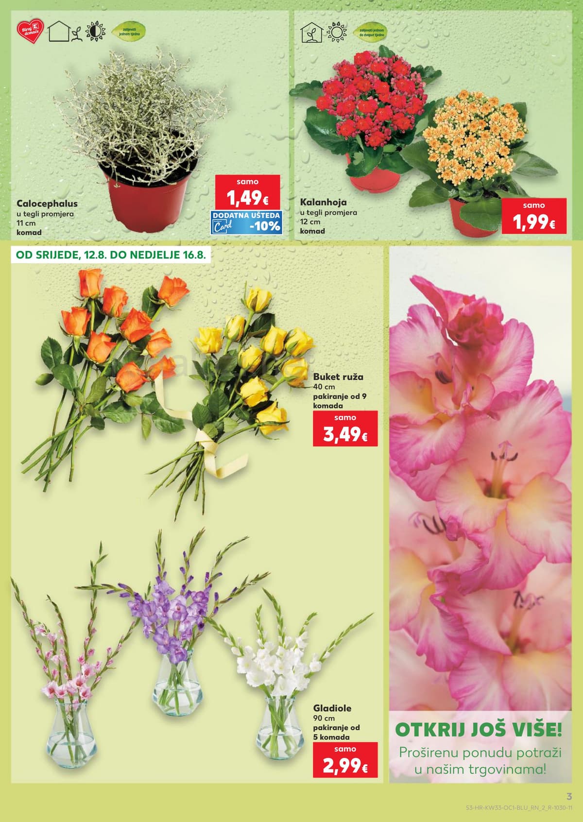Stranica 3. Kaufland kataloga - Sladoledi, ljetni jelovnik i priprema kolača od 12.08.2026.