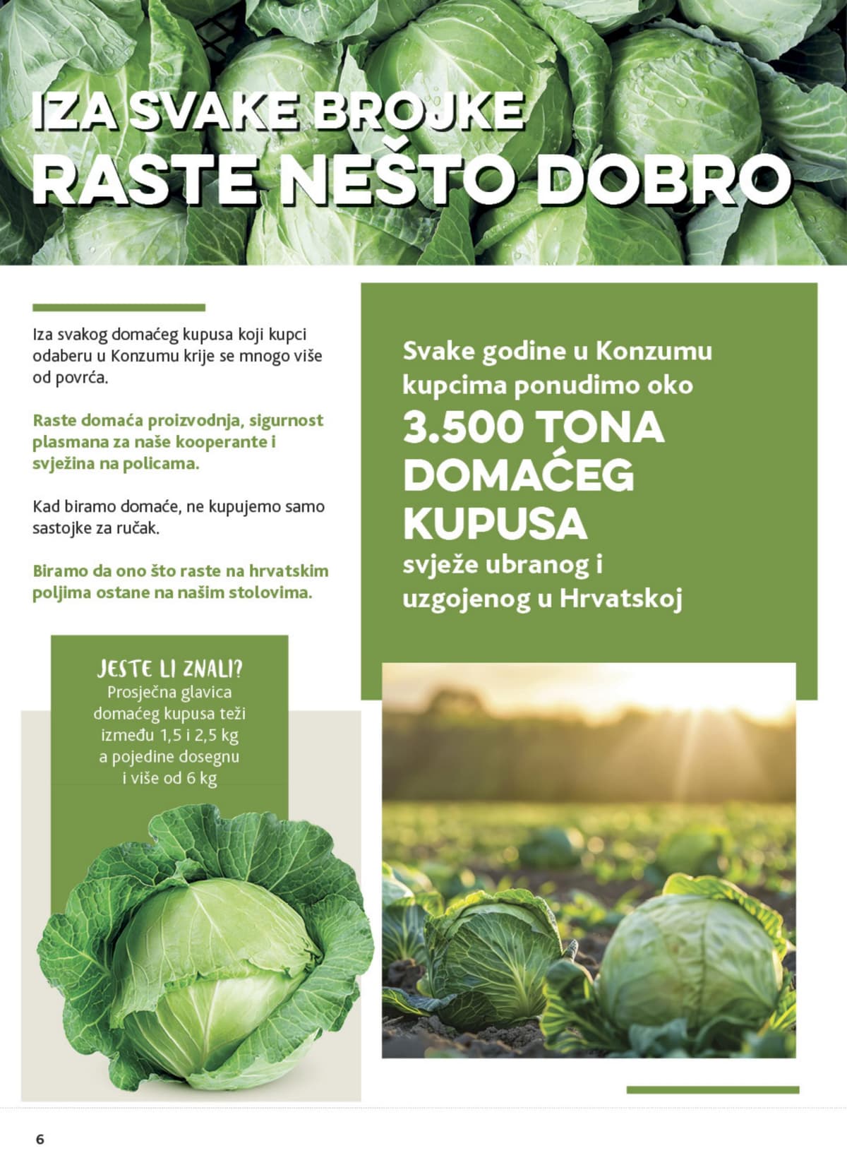 Stranica 6. Konzum kataloga - Tjedna Akcija od 24.10.2026.