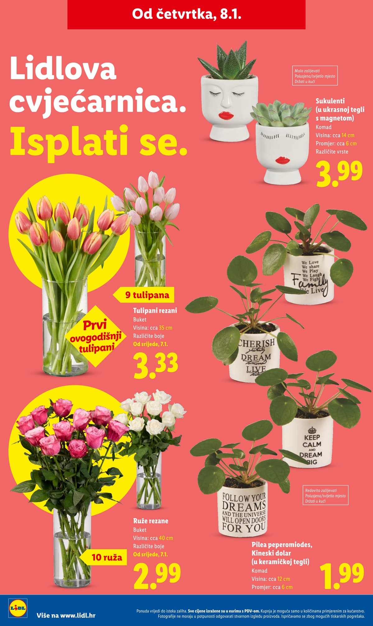 Stranica 22. Lidl kataloga - Neprehrambeni proizvodi