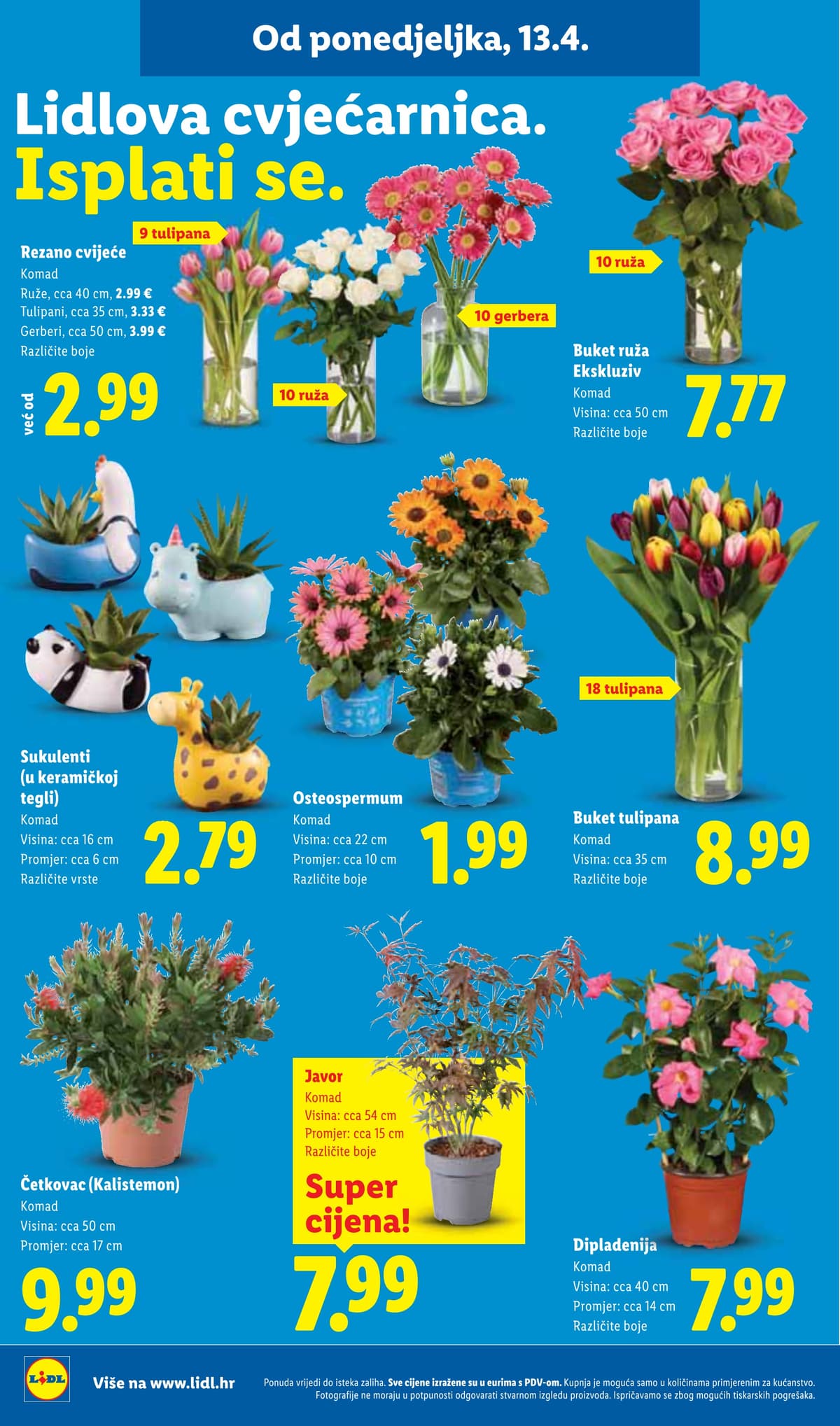 Stranica 17. Lidl kataloga - Vikend Akcija