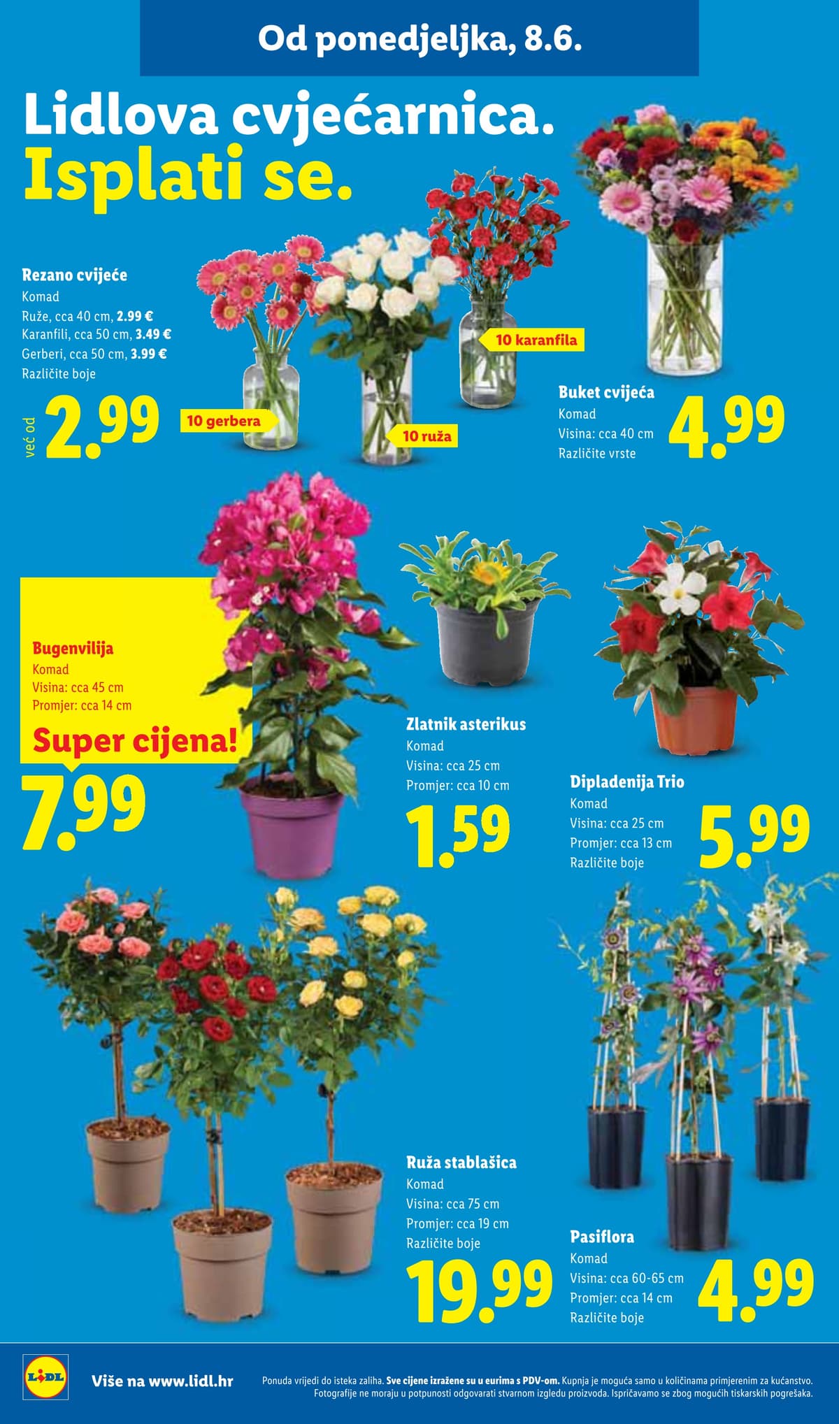 Stranica 13. Lidl kataloga - Vikend Akcija od 04.06.2026.