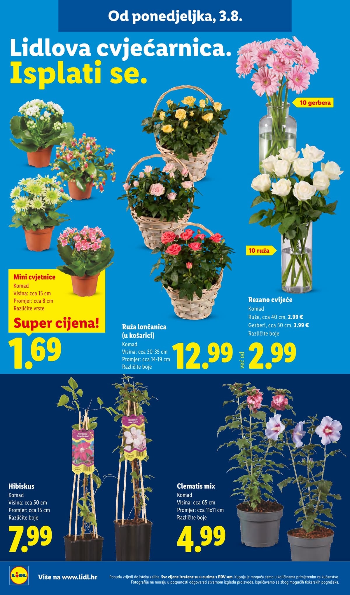 Stranica 17. Lidl kataloga - Vikend Akcija od 31.07.2026.