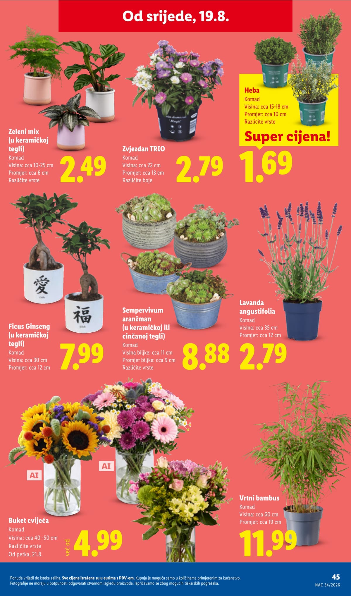 Stranica 45. Lidl kataloga - Tjedna Akcija od 12.08.2026.