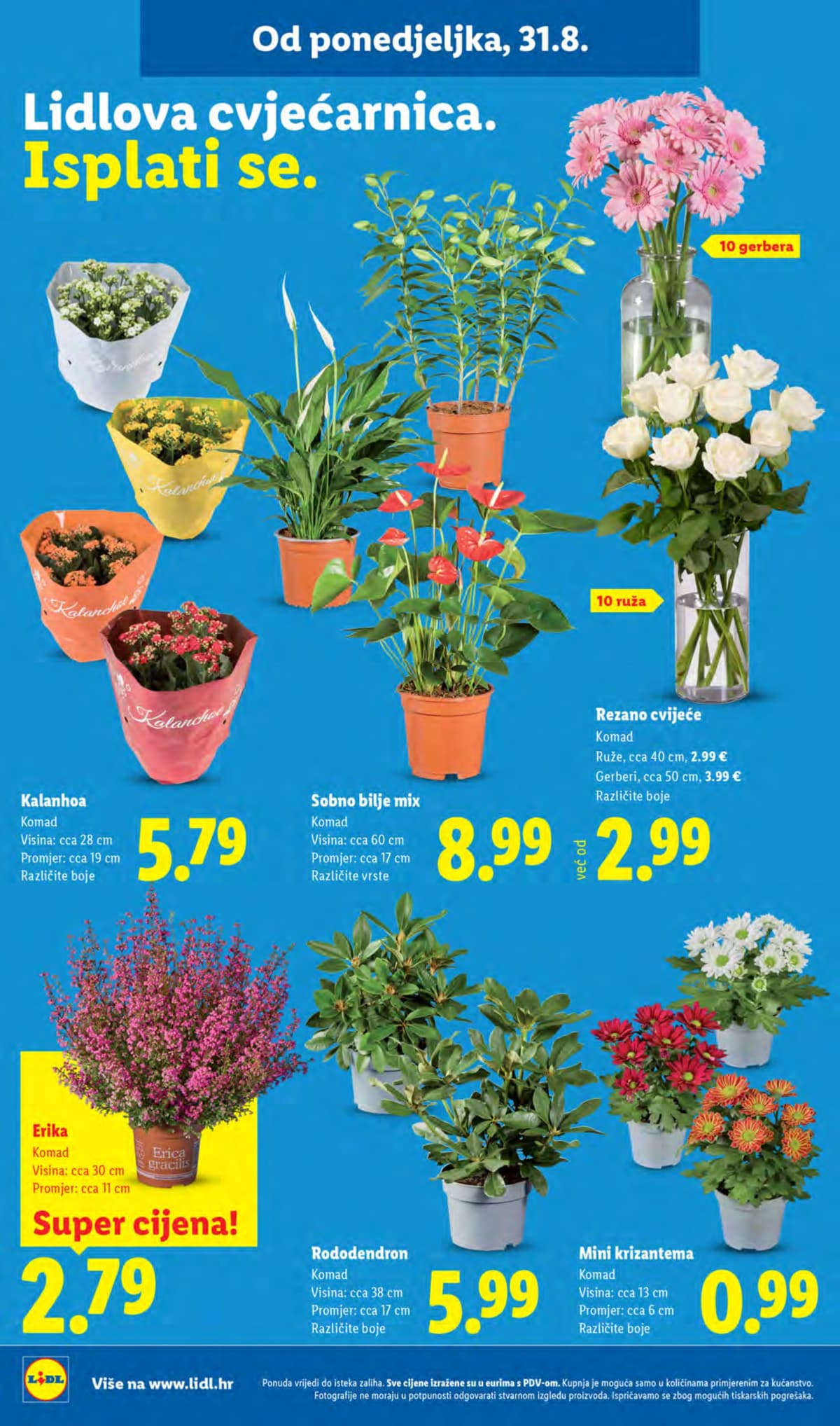 Stranica 46. Lidl kataloga - Tjedna Akcija