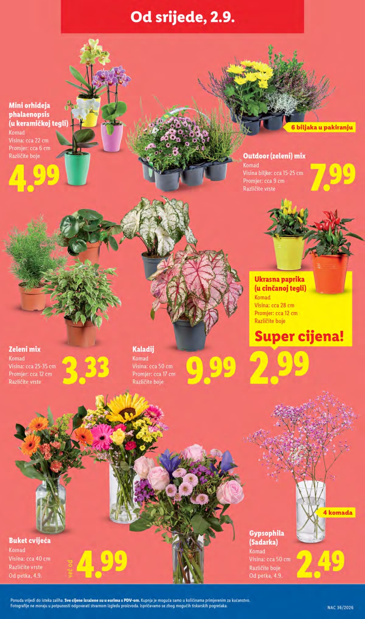 Stranica 47. Lidl kataloga - Tjedna Akcija