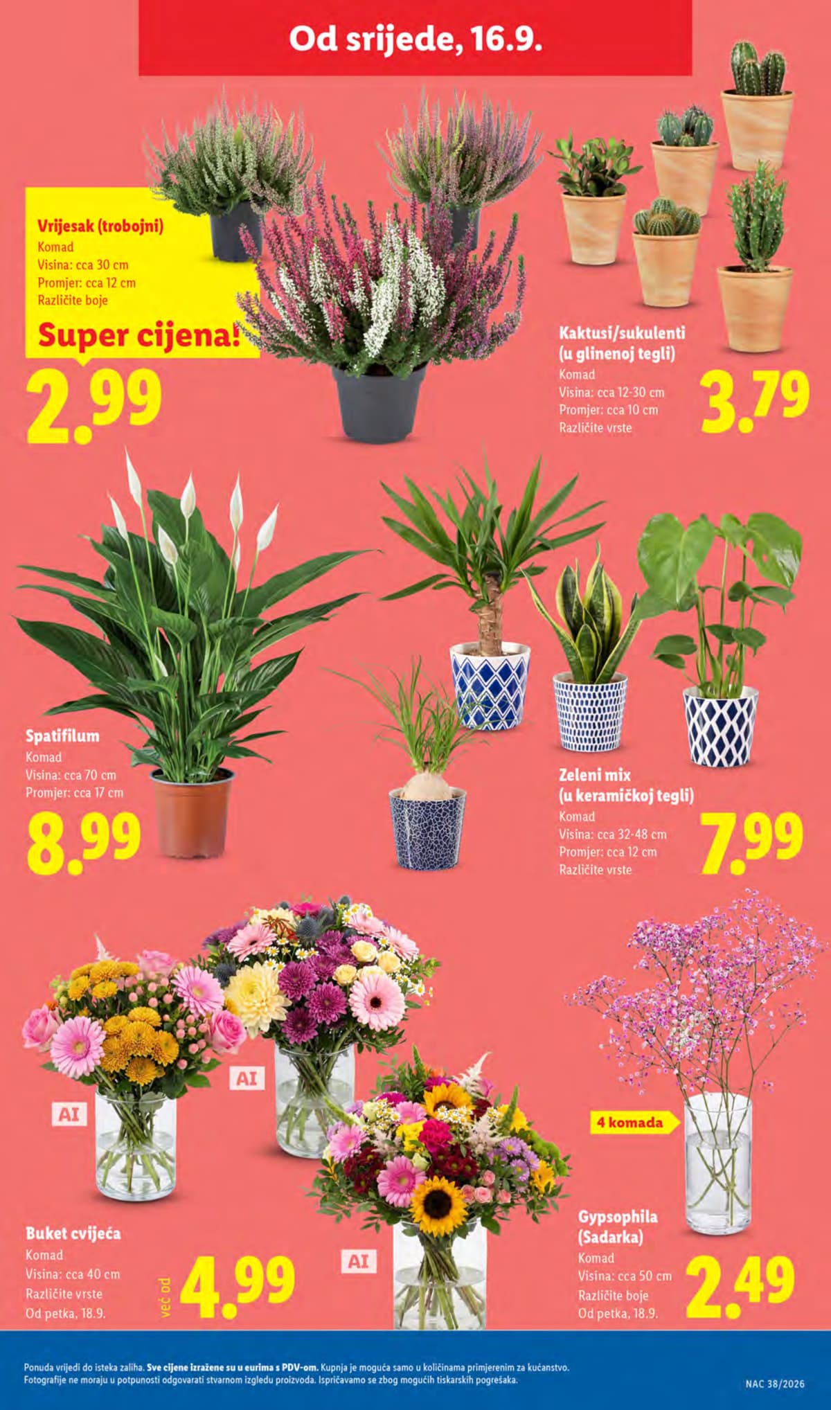 Stranica 53. Lidl kataloga - Tjedna Akcija od 17.09.2026.