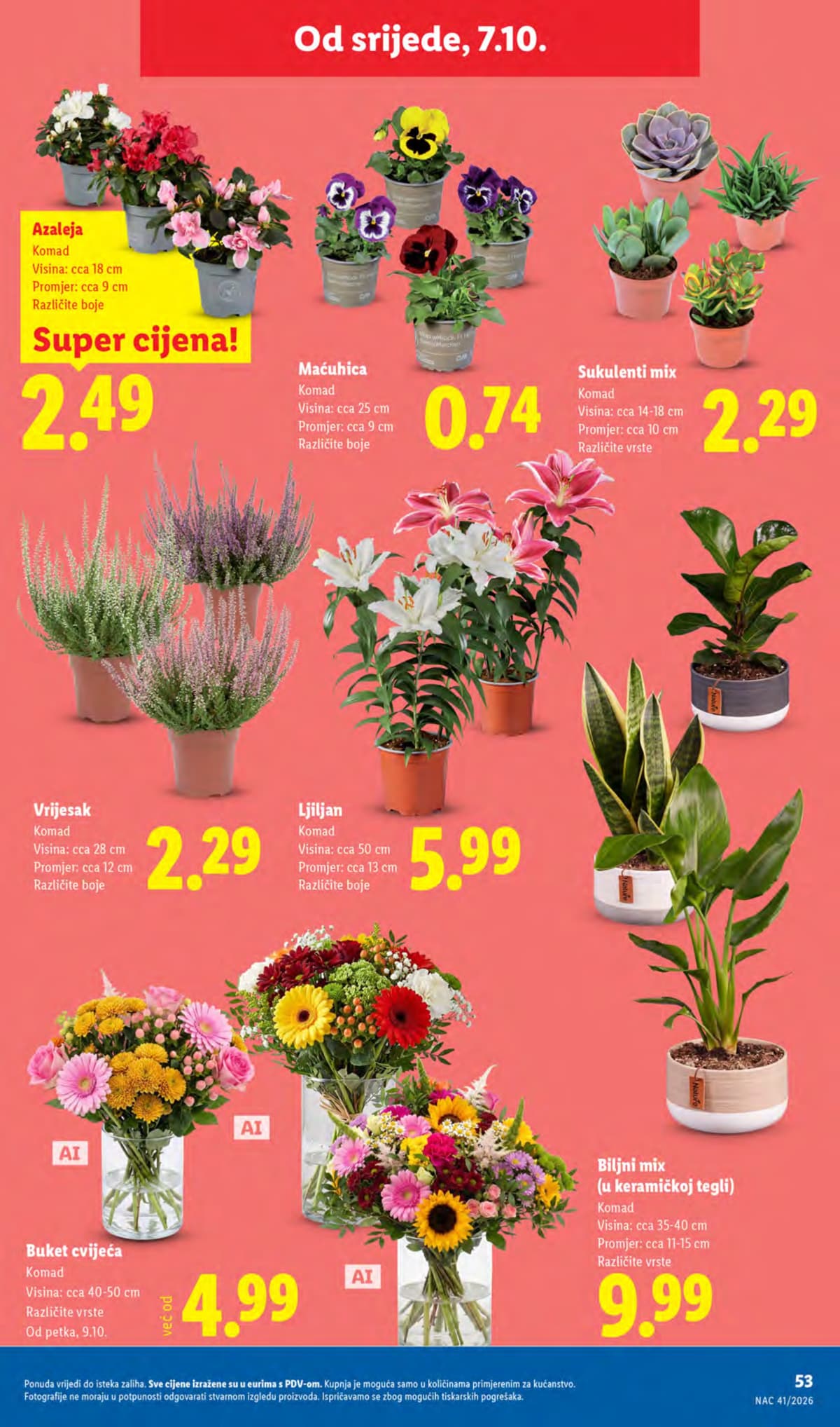 Stranica 53. Lidl kataloga - Tjedna Akcija od 05.10.2026.