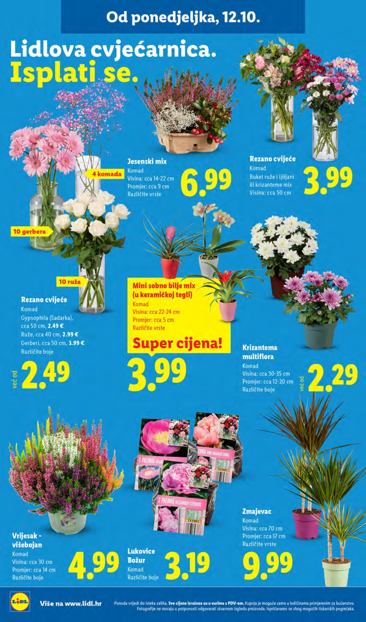 Stranica 36. Lidl kataloga - Tjedna Akcija od 16.10.2026.