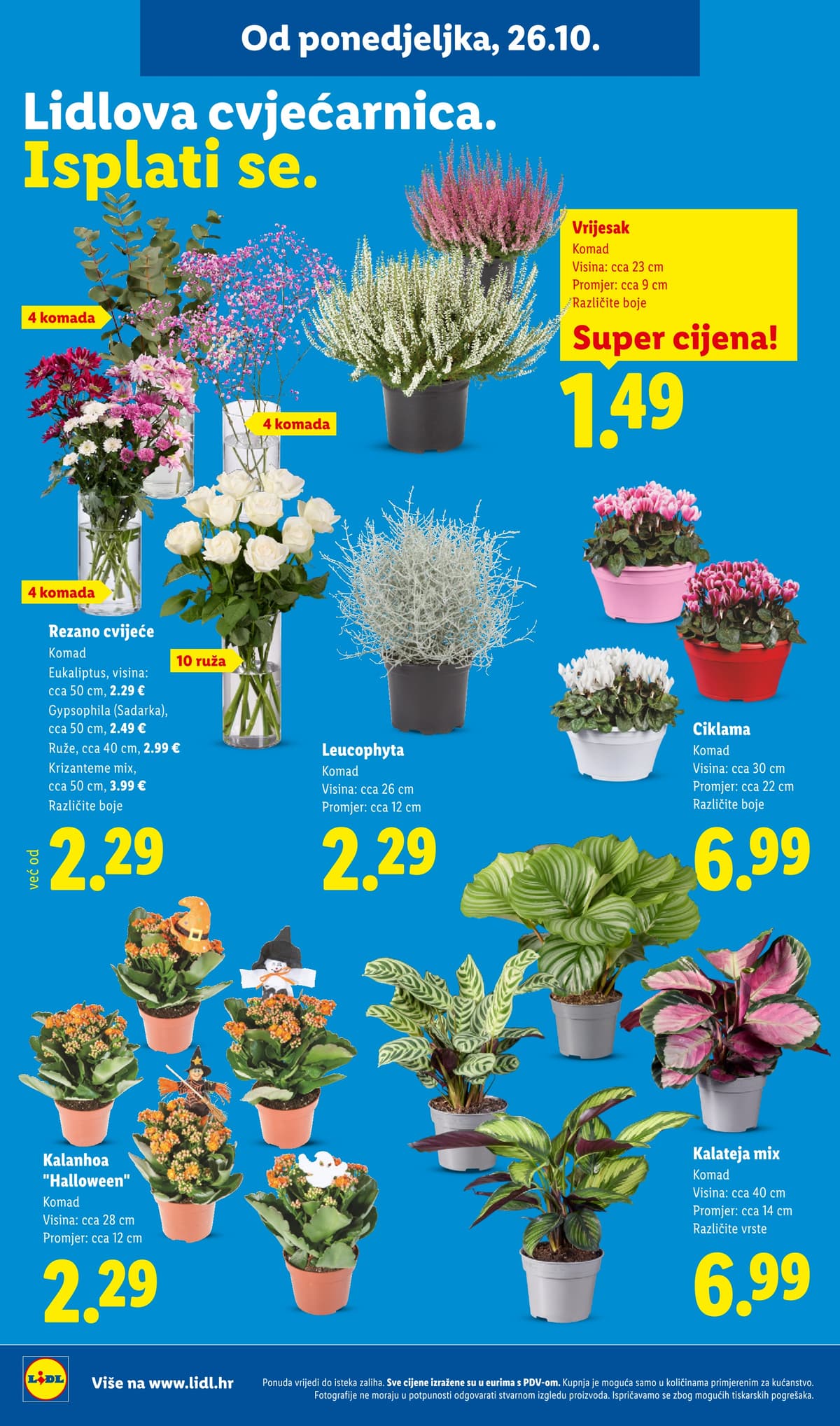 Stranica 62. Lidl kataloga - Tjedna Akcija od 22.10.2026.