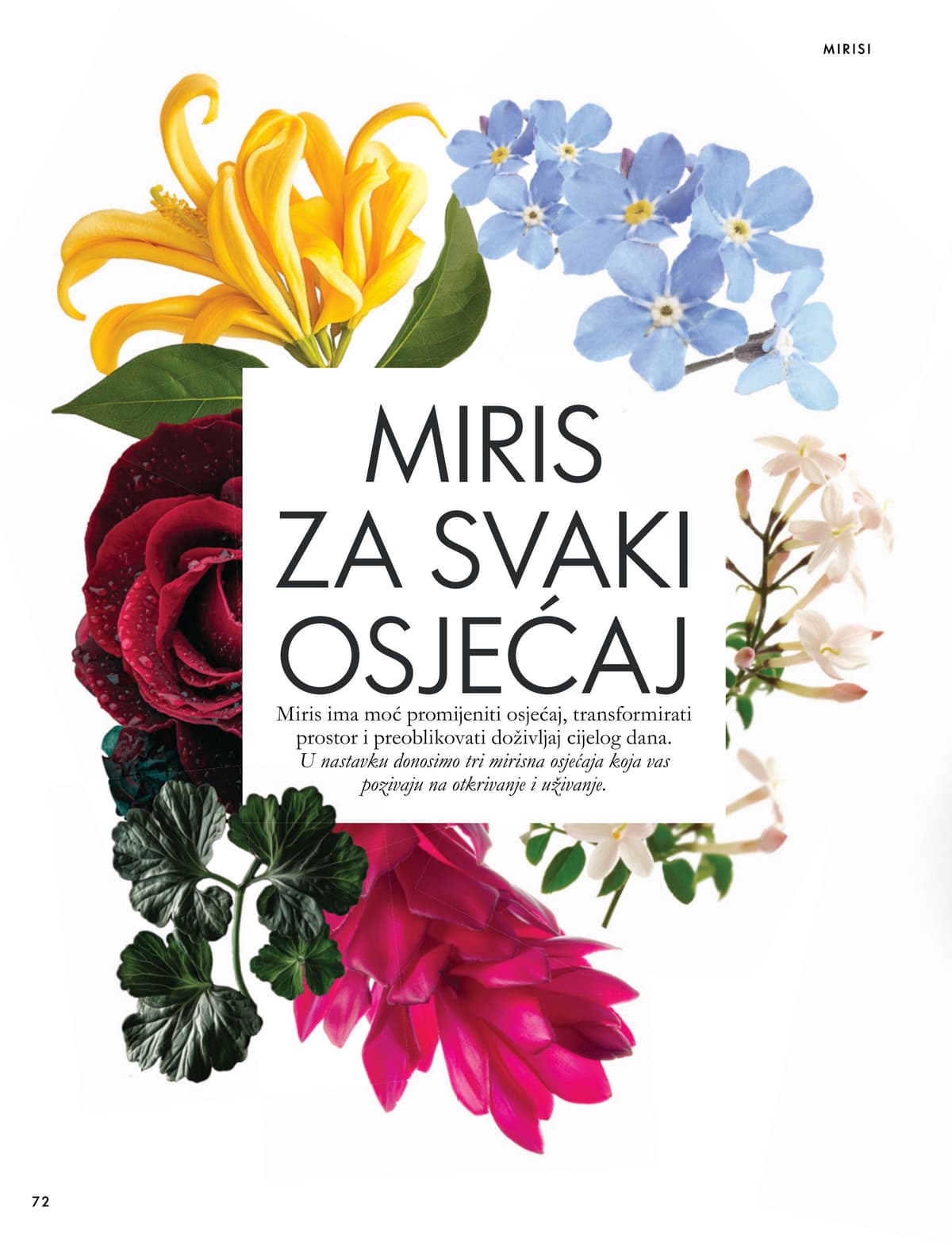 Stranica 72. Oriflame kataloga - Listopad 2026 od 16.10.2026.