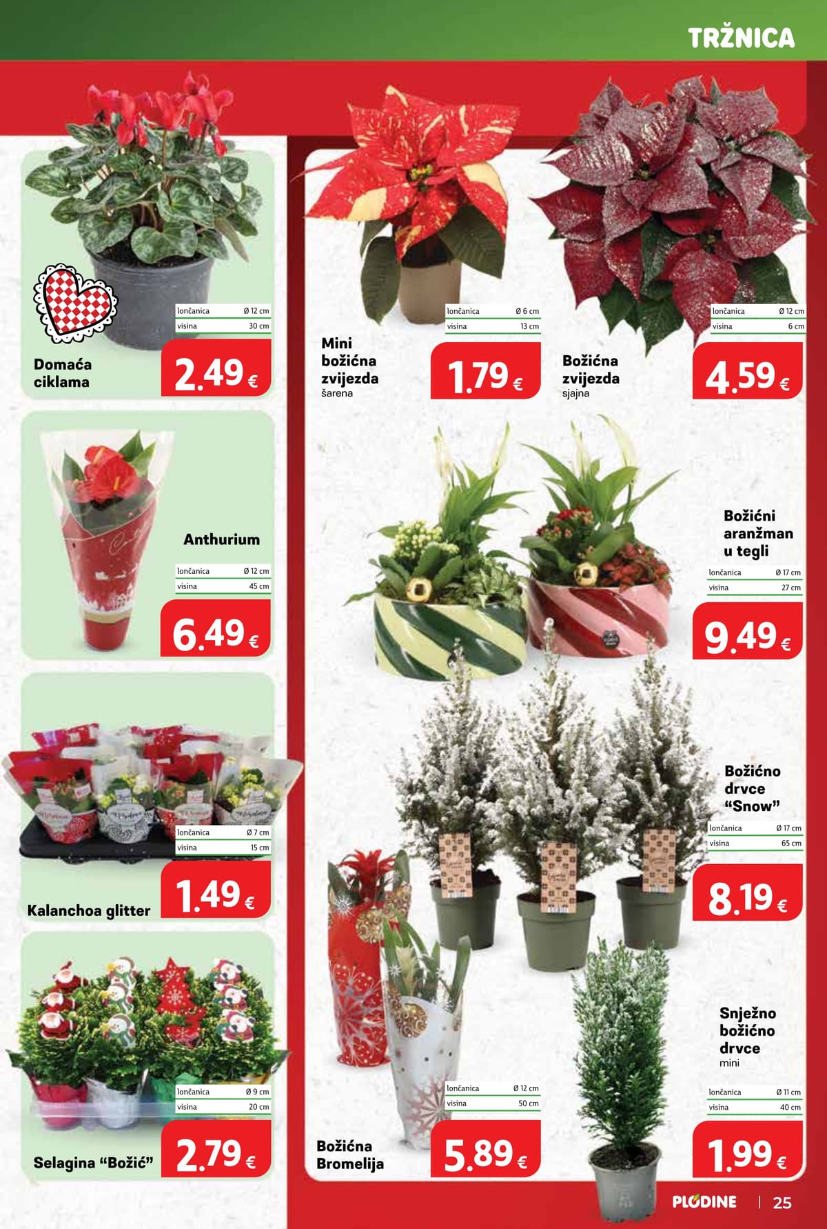 Stranica 25. Plodine kataloga - Akcijska ponuda od 27.02.2026.