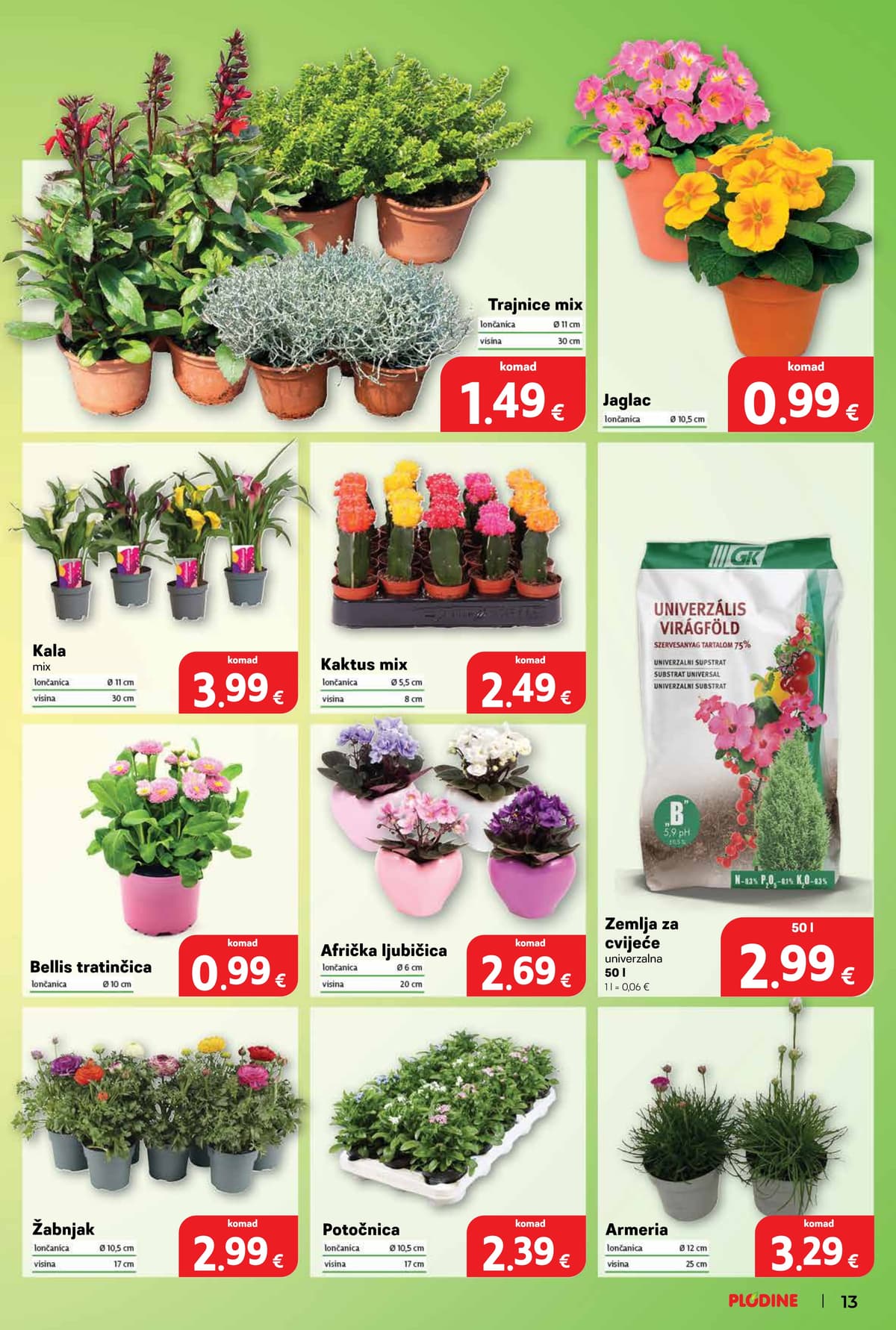 Stranica 13. Plodine kataloga - Tjedna Akcija od 27.02.2026.