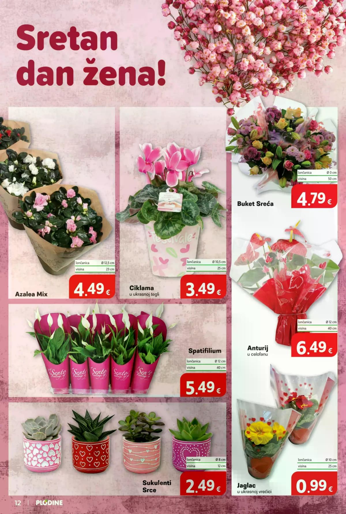 Stranica 12. Plodine kataloga - Tjedna Akcija od 28.02.2026.