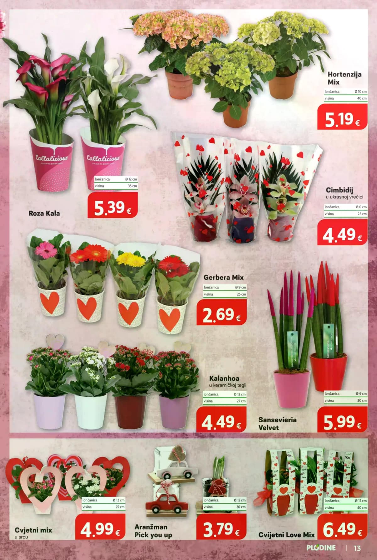 Stranica 13. Plodine kataloga - Tjedna Akcija od 28.02.2026.