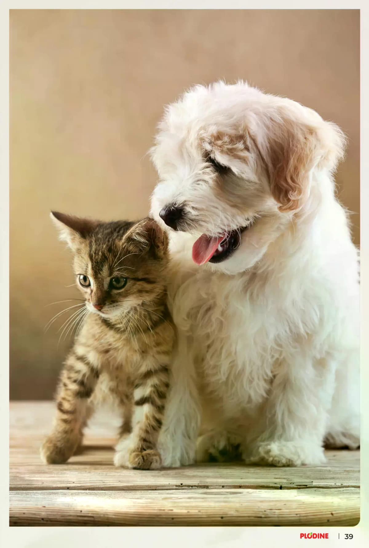 Stranica 39. Plodine kataloga - Tjedna Akcija od 28.02.2026.