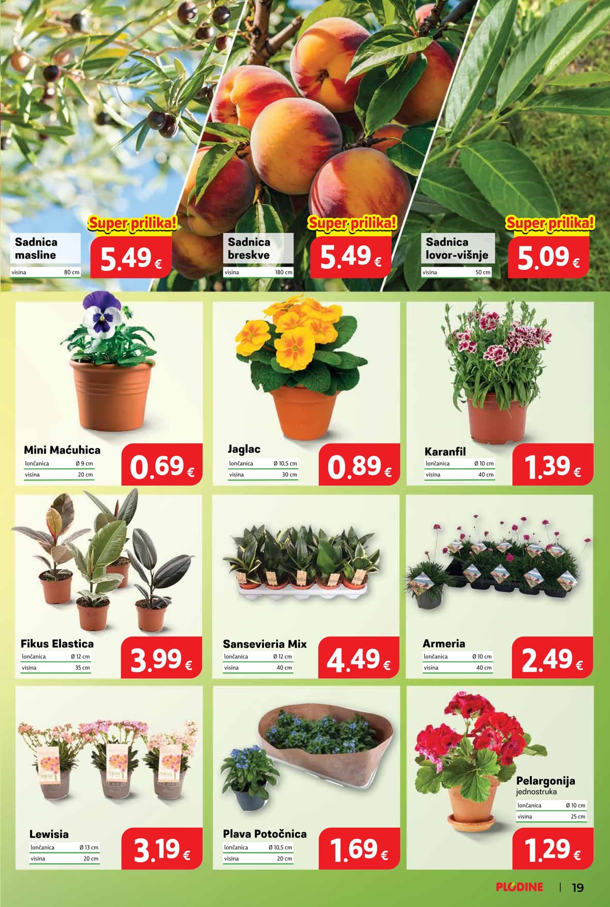 Stranica 19. Plodine kataloga - Tjedna Akcija od 15.03.2026.