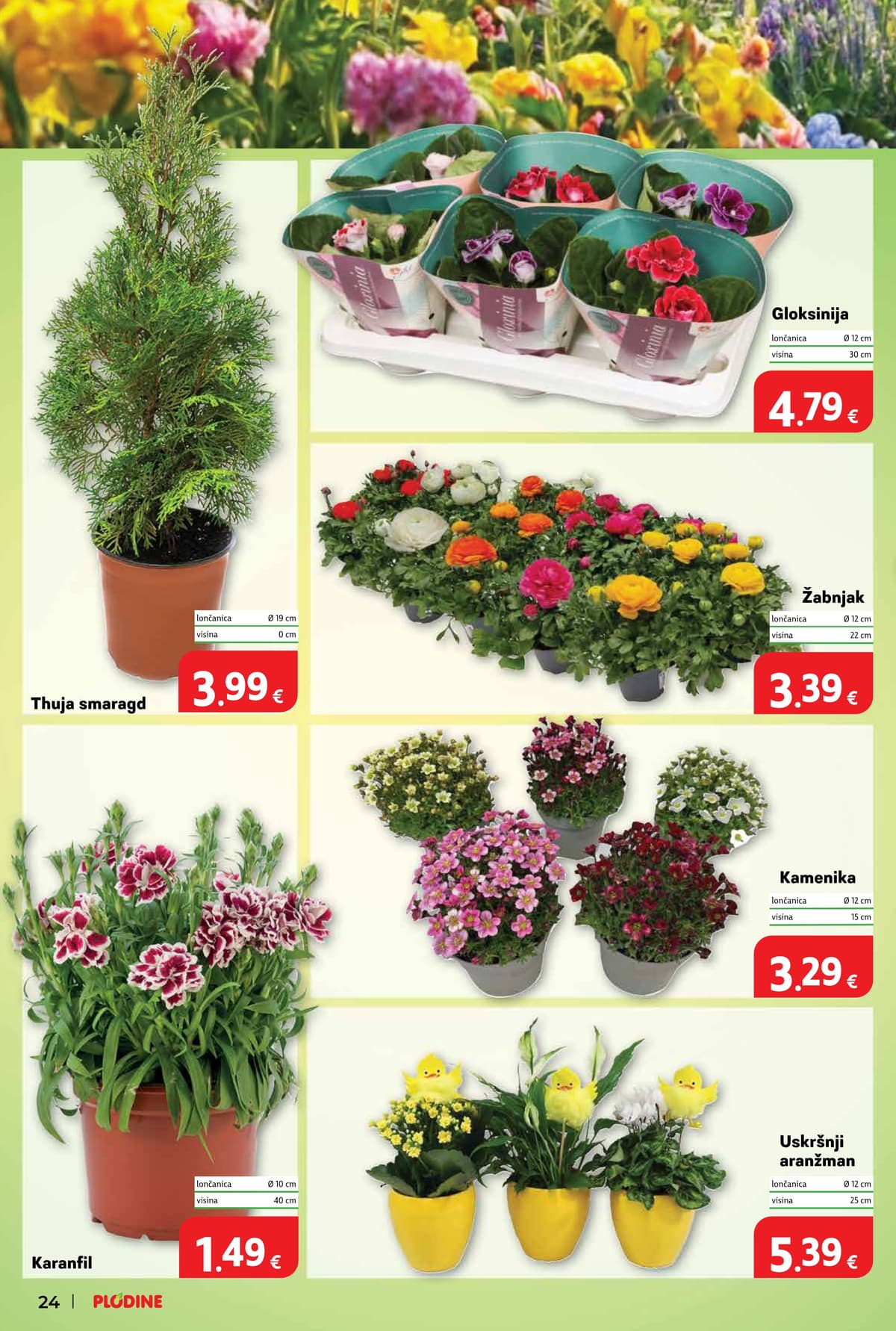 Stranica 32. Plodine kataloga - Tjedna Akcija od 29.03.2026.