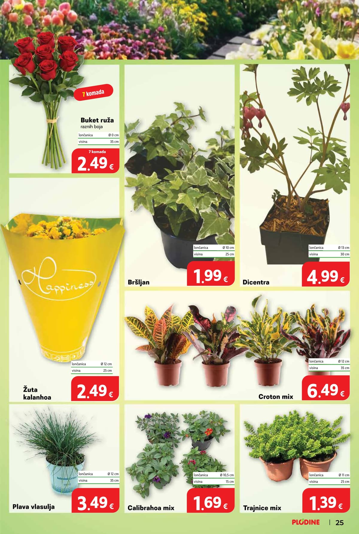 Stranica 33. Plodine kataloga - Tjedna Akcija od 29.03.2026.