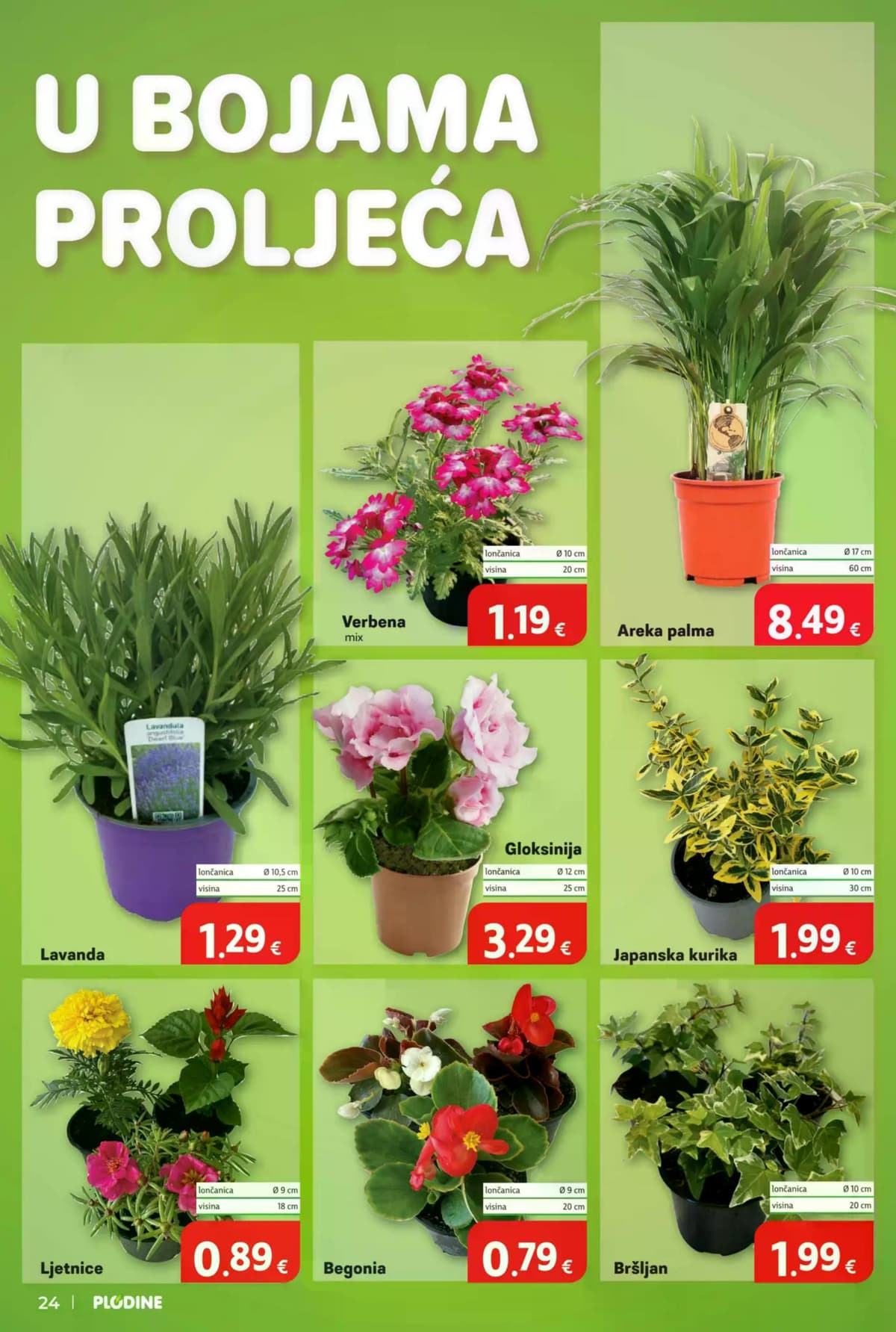 Stranica 24. Plodine kataloga - Tjedna Akcija od 09.05.2026.