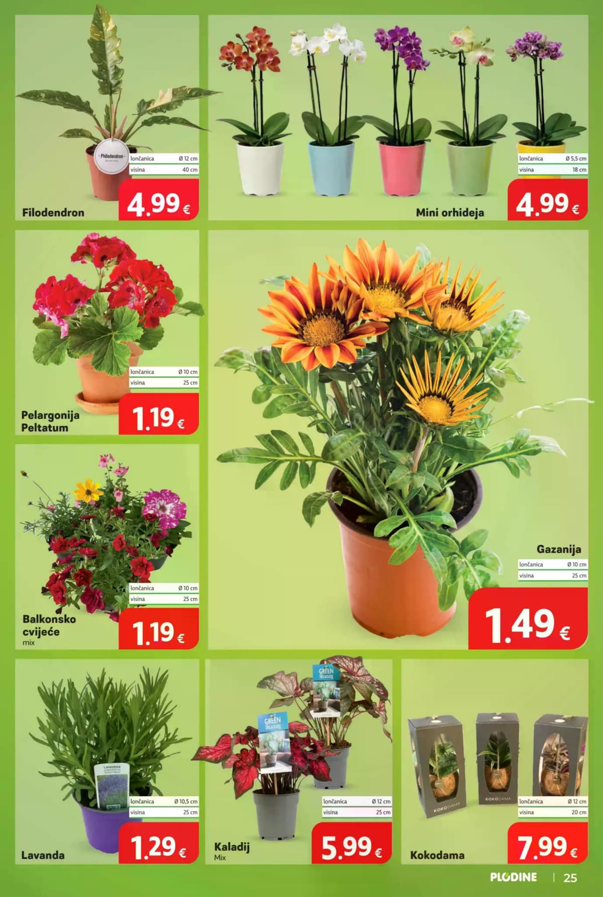 Stranica 25. Plodine kataloga - Tjedna Akcija od 31.05.2026.