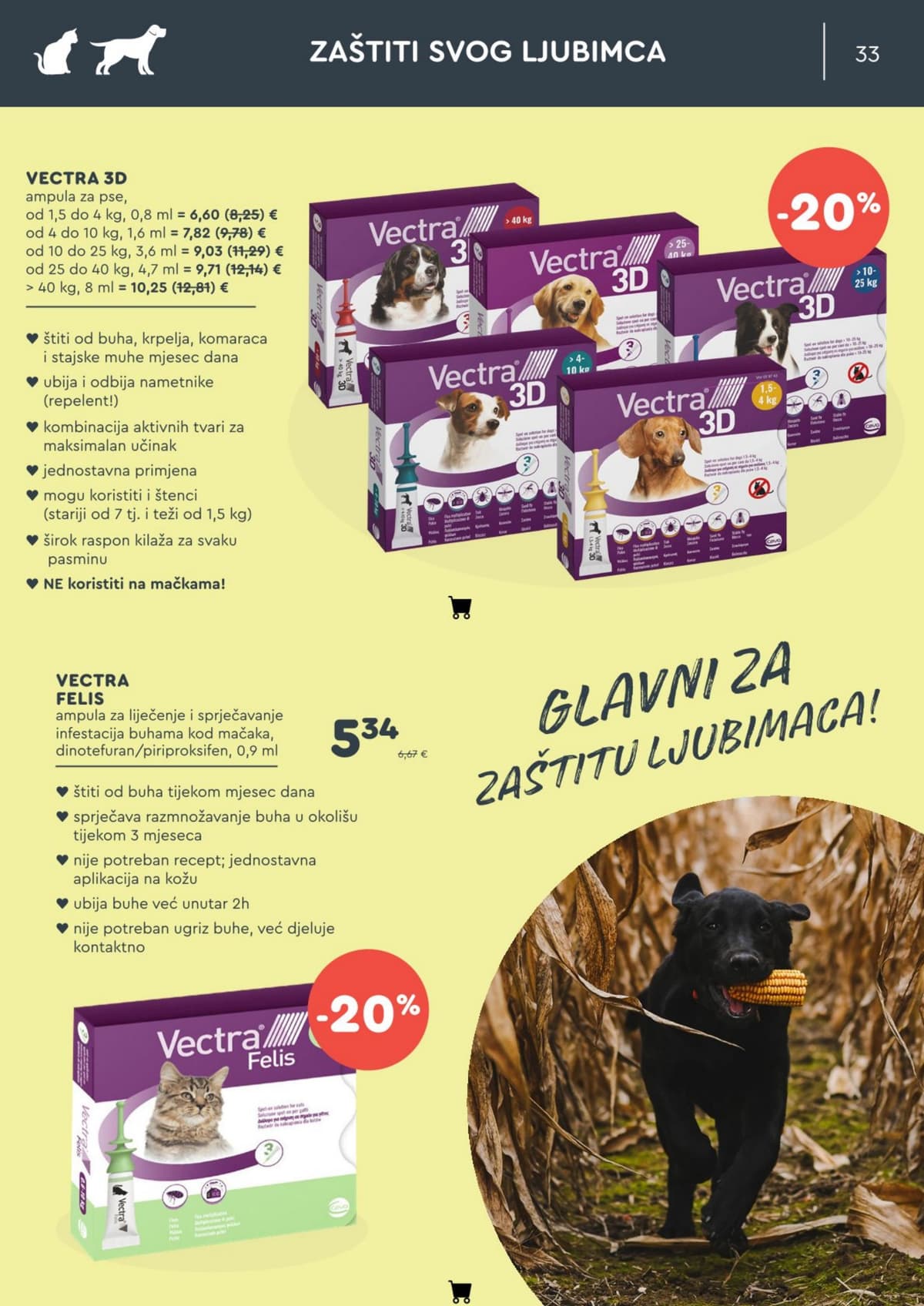 Stranica 33. Zoo City kataloga - Rujan 2026