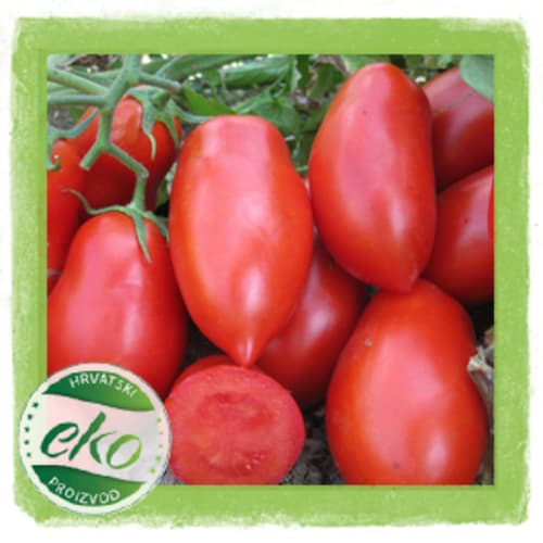 Rajčica šljivar 1 kg: Akcija (Spar) 10.09.