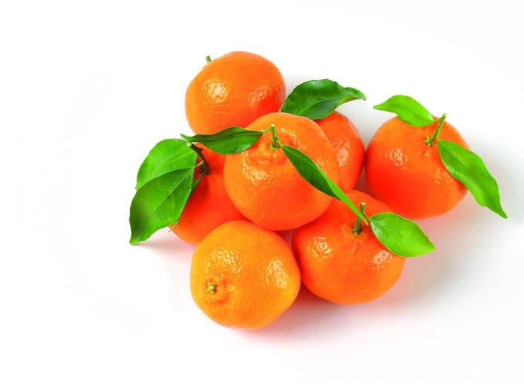 Domaća mandarina 1 kg Akcija u trgovini Kaufland