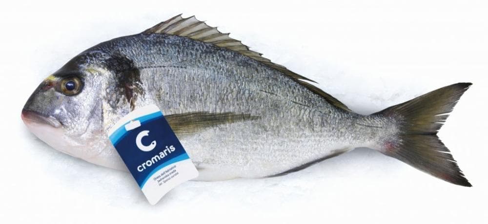 Orada LL 1 kg Cromaris Akcija u trgovini Spar