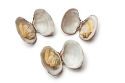 Vongole bijele