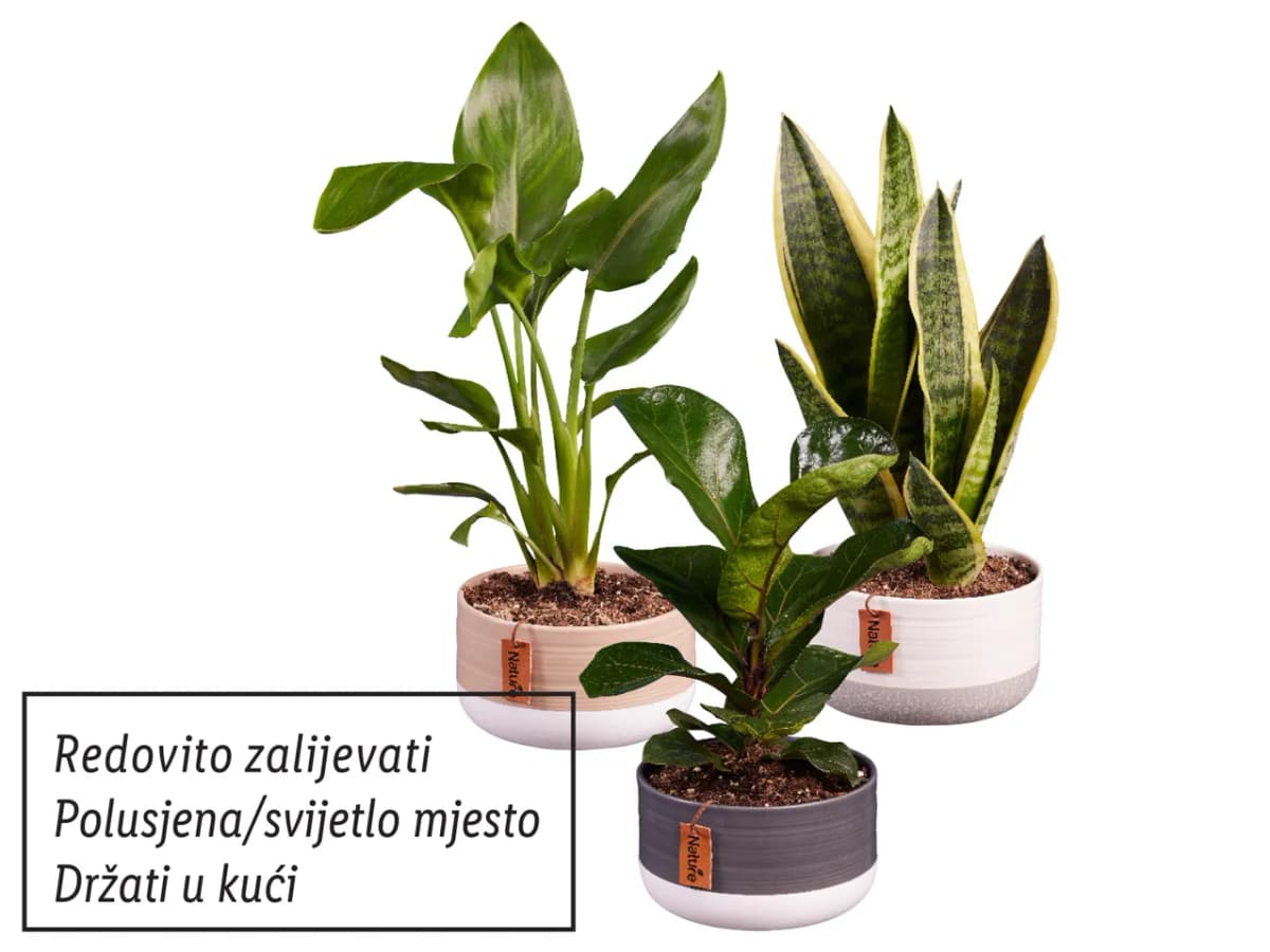 Biljni mix Nature Akcija u trgovini Lidl