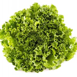 Domaća salata kristal