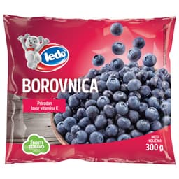 LEDO Borovnica