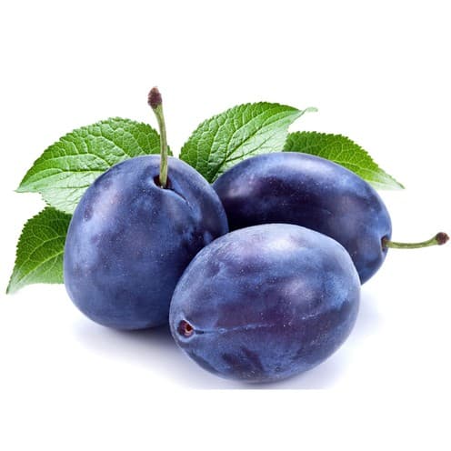 Šljiva 1 kg Akcija u trgovini NTL