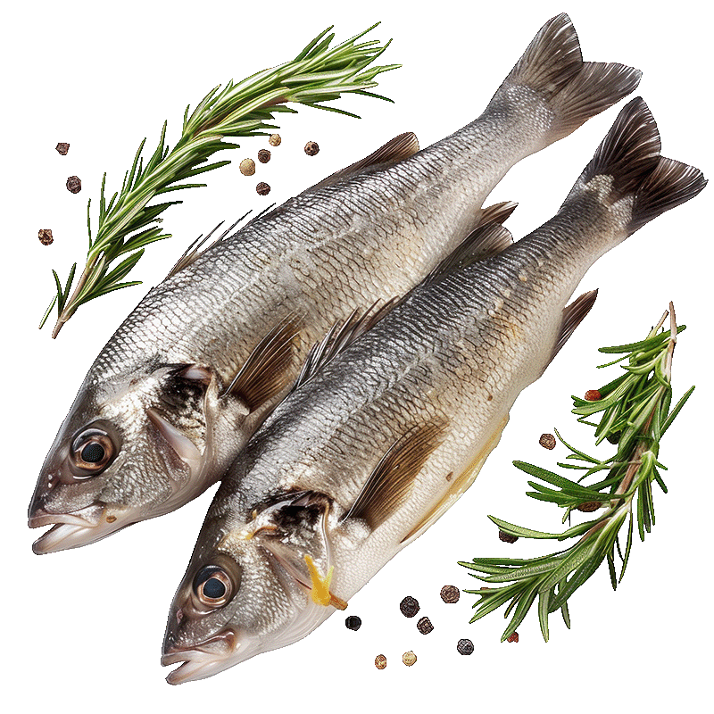 Kategorija proizvoda Svježa riba i morski plodovi