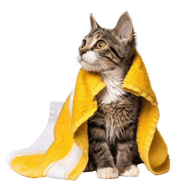 Kategorija proizvoda Njega za mačke