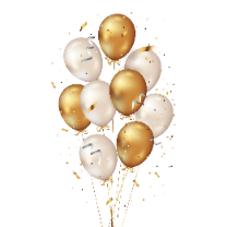 Kategorija proizvoda Party program