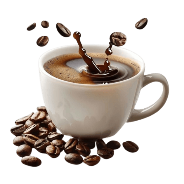 Kategorija proizvoda Instant kava