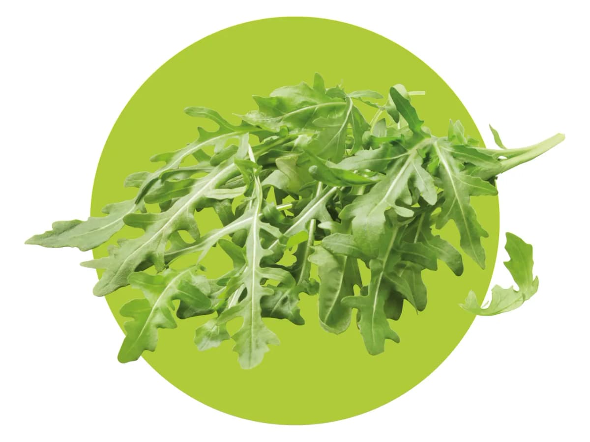 Bio rukola 100 g Akcija u trgovini Lidl
