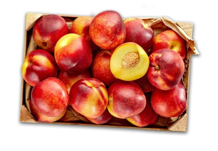 Nektarina 1 kg Akcija u trgovini Spar
