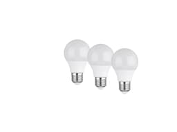 LIVARNO home LED žarulje
