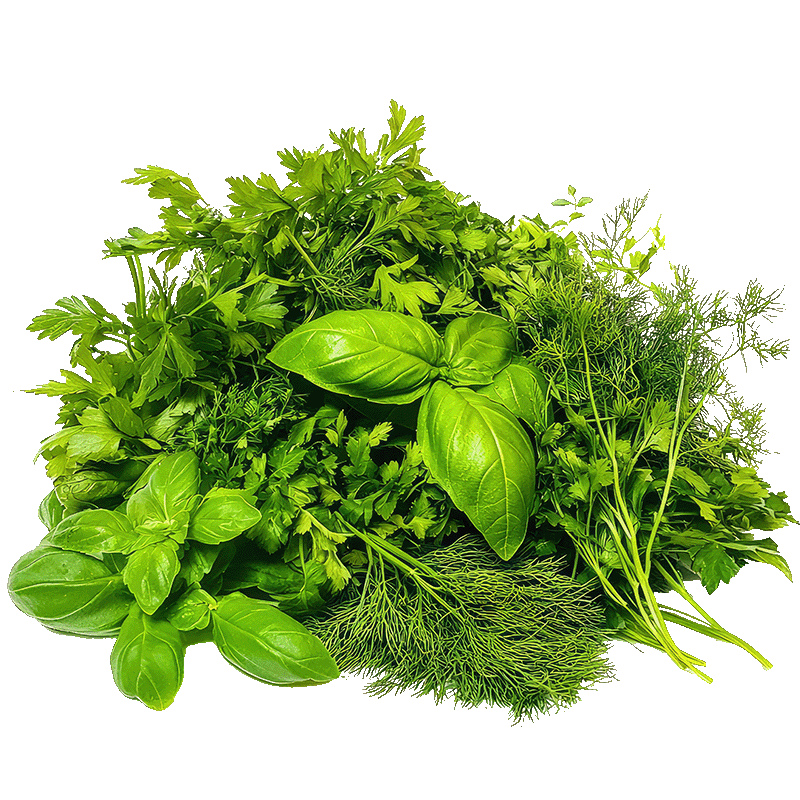 Kategorija proizvoda Začinsko bilje