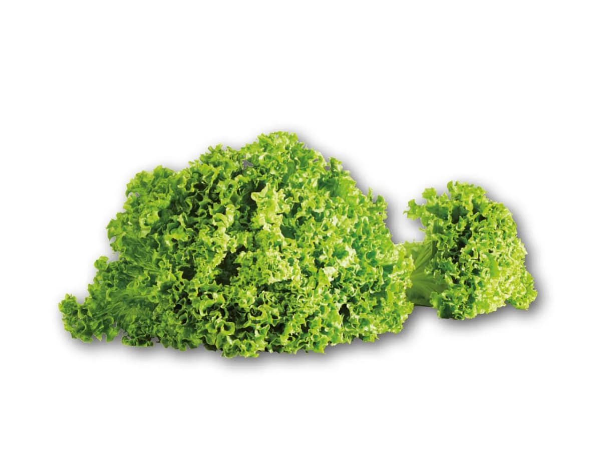 Domaća salata kristal Komad Akcija u trgovini Lidl