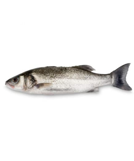 Lubin 1 kg Akcija u trgovini Tommy