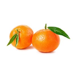 Domaća klementina