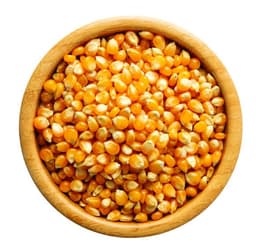 Kukuruz kokičar